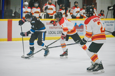 Thumb-Hockey-Category-TJP